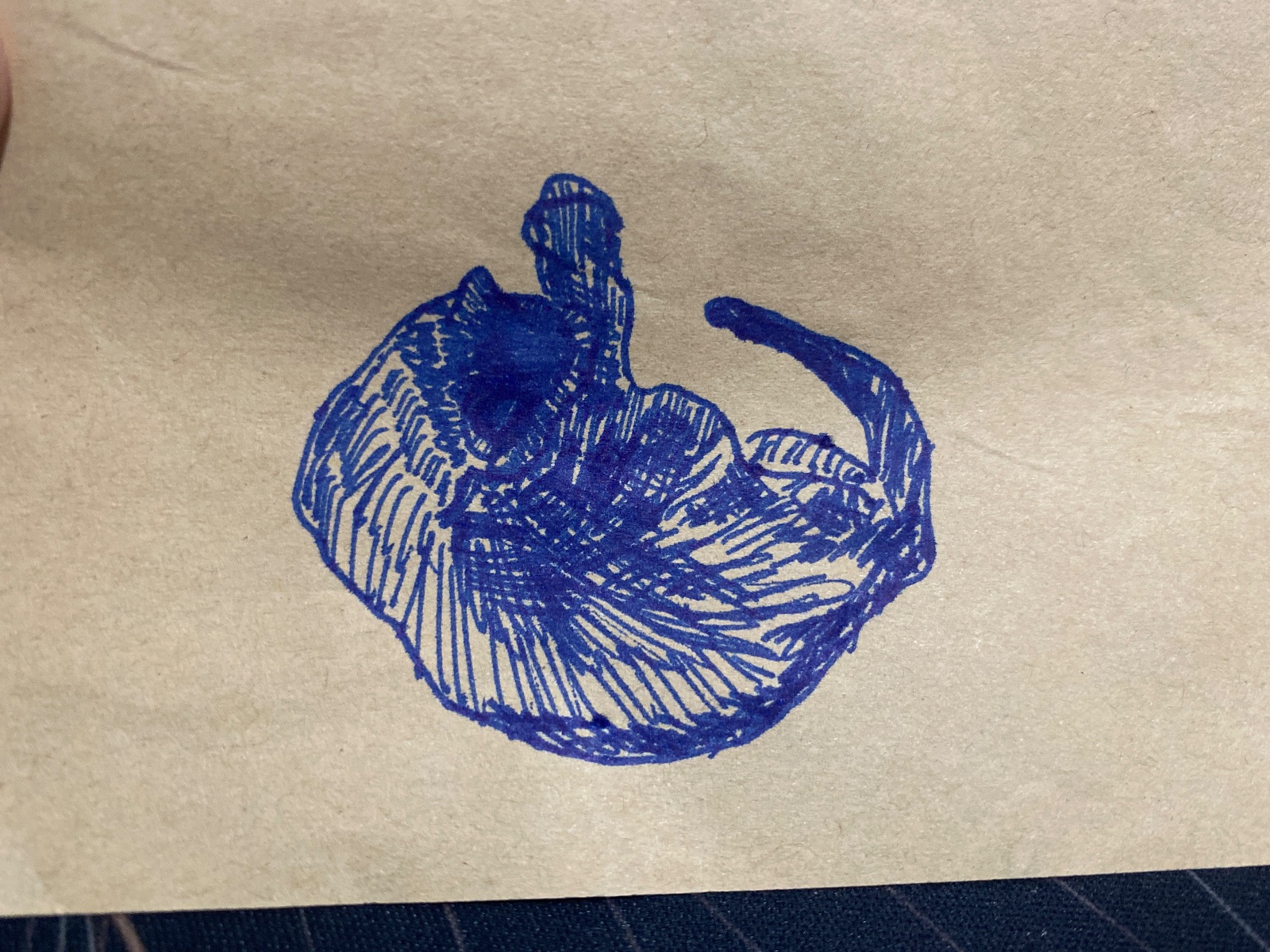 Drawing by @wabphy