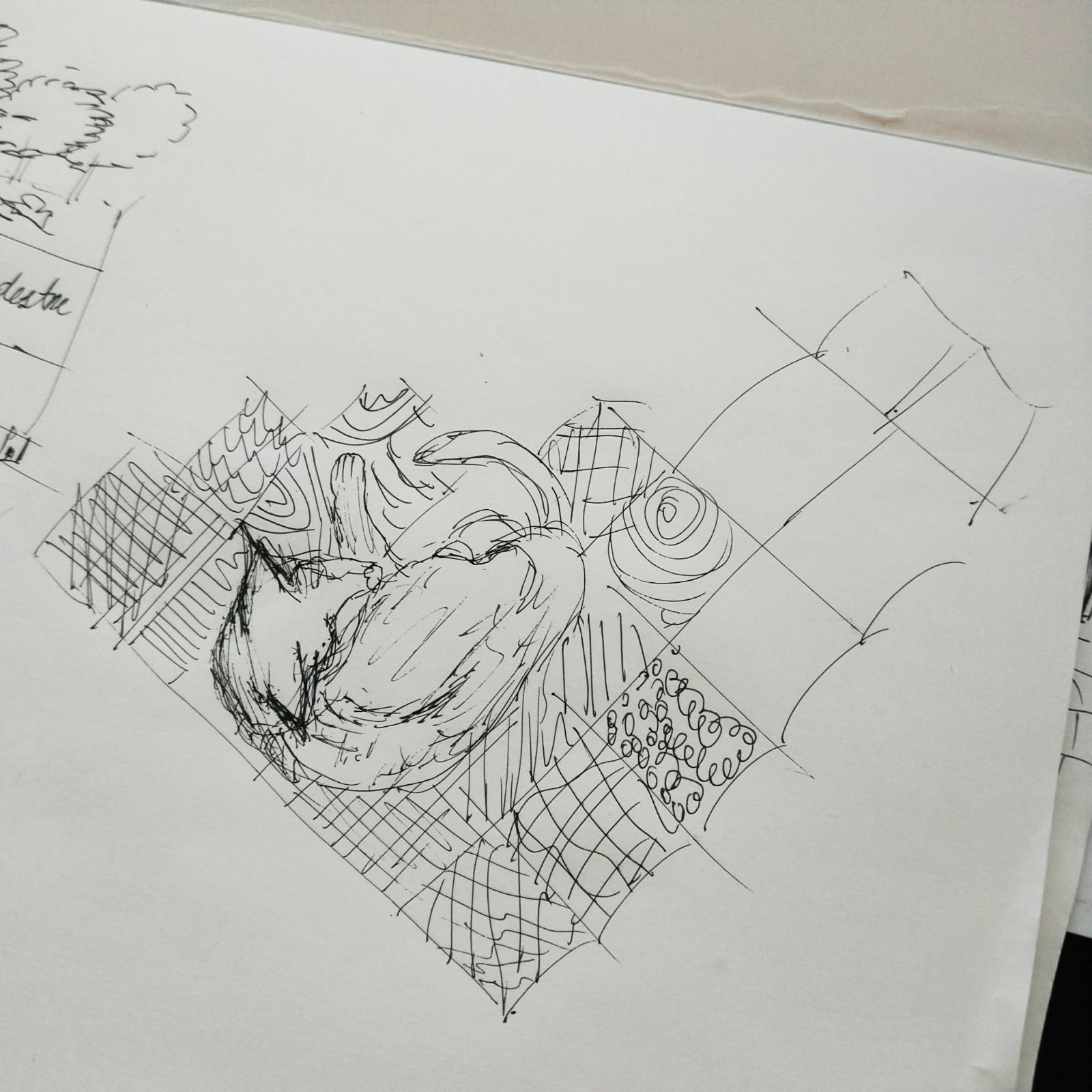 Drawing by @jinjin